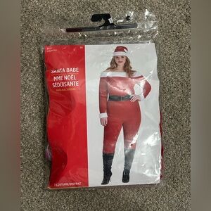 Santa Babe Costume